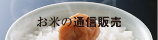 バナー：お米の通信販売